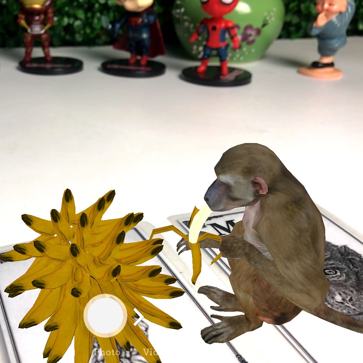 bo-the-hinh-anh-animal-4d