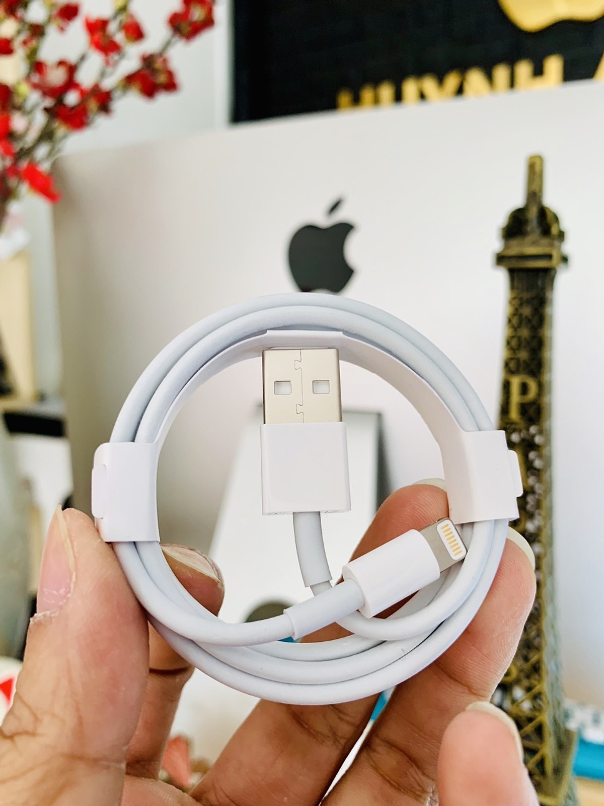 day-cap-sac-danh-cho-iphone