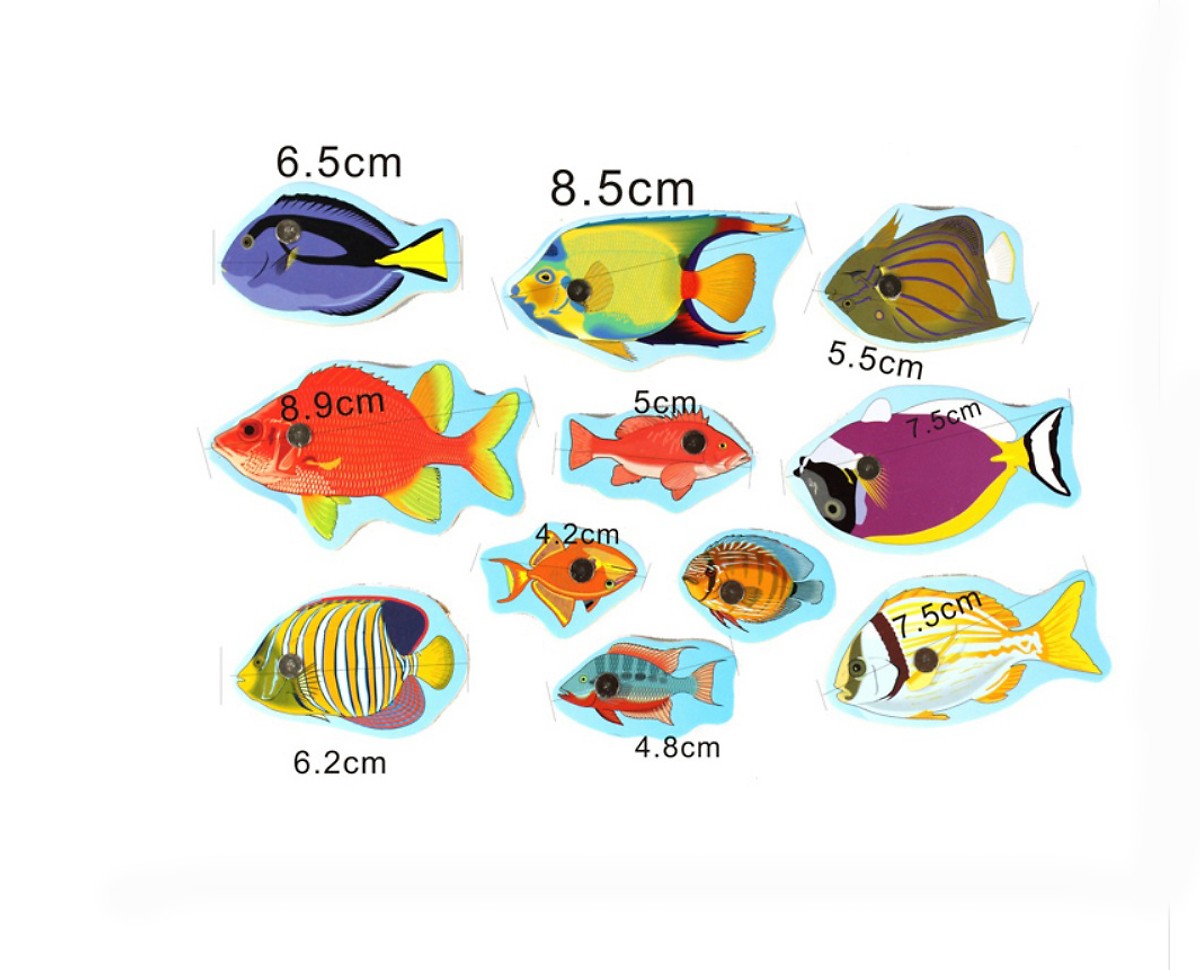 do-choi-go-cau-ca-nam-cham