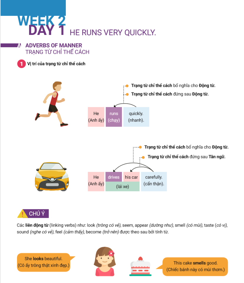 easy-5-nam-tron-diem-5-trong-7-tuan