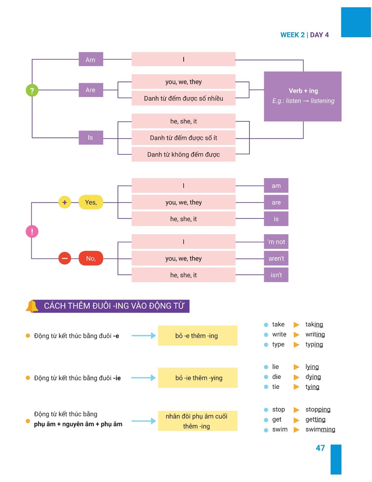easy-5-nam-tron-diem-5-trong-7-tuan