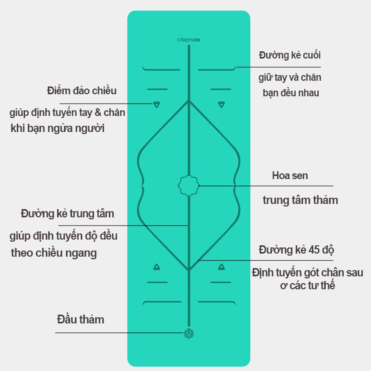 tham-yoga-dinh-tuyen-midoctor