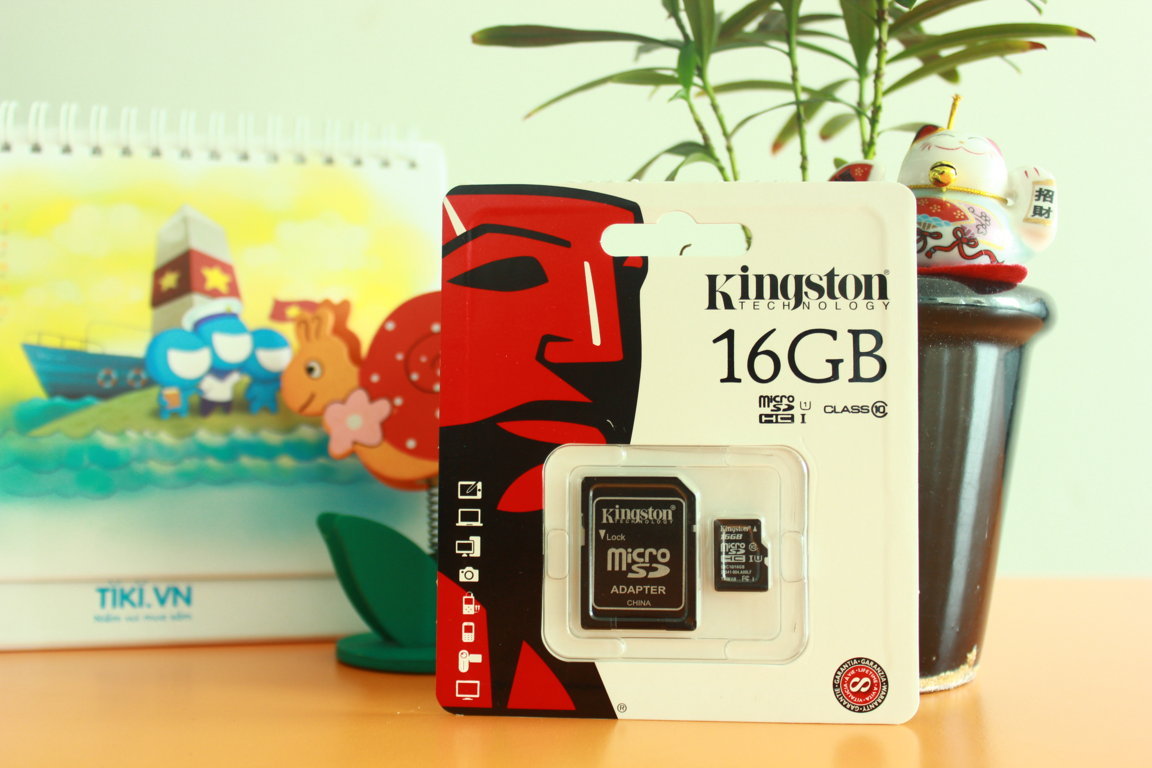 the-nho-micro-sdhc-kingston-16gb